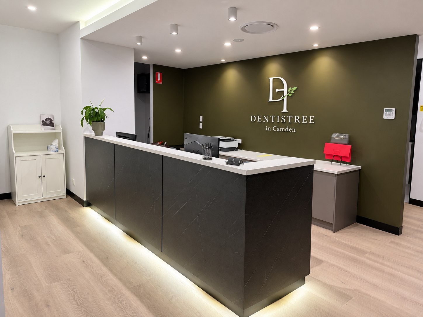 Dentistree in Camden reception with olive green walls and practice logo